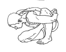 marichyasana