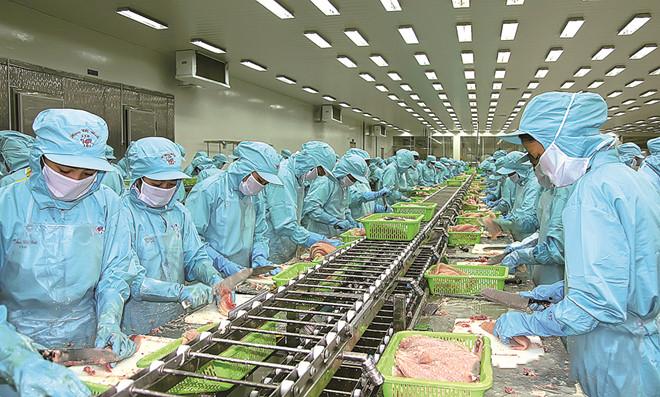 công nhân sản xuất tại nhà máy IDI
