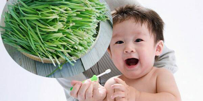 Chữa ho cho trẻ sơ sinh bằng lá hẹ, mẹ cần lưu ý những gì? (ảnh minh họa)