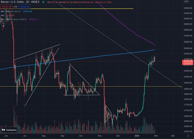 BTC price during the month of January 2023 indicates that it will close at +40%