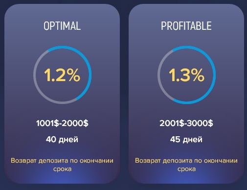 Вкладывать в Crypto Invest или нет? Обзор маркетинга и отзывы клиентов