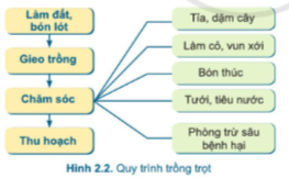 DiagramDescription automatically generated