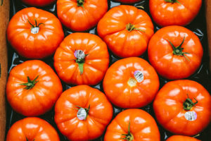 Finding The Best Organic Produce Delivery in NYC - E. Armata Inc.