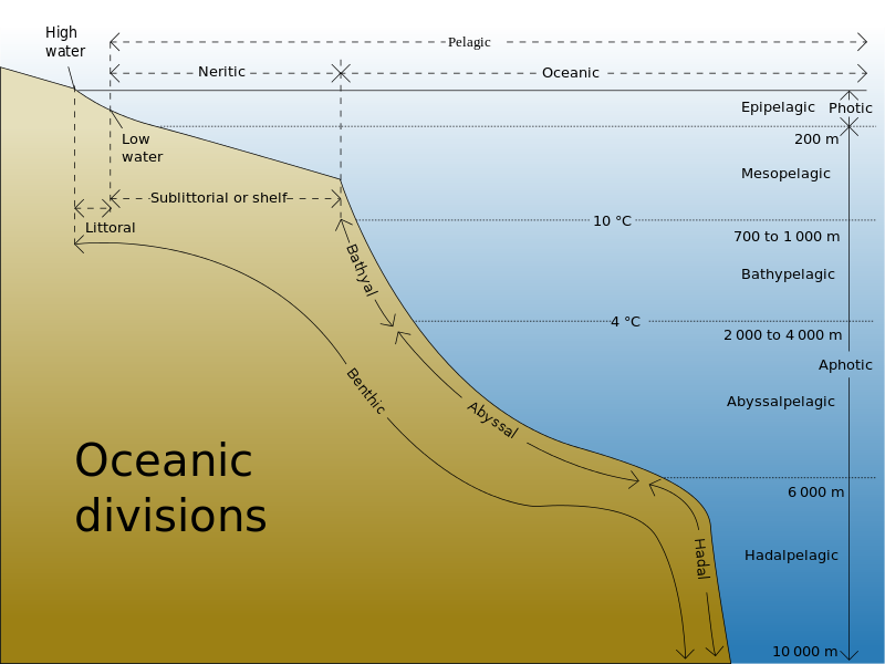 12.1: Zones of Marine Environments - Geosciences LibreTexts