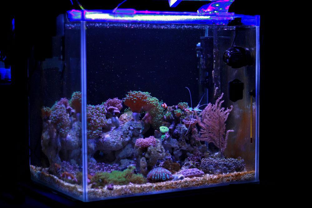 DIY Светодиодные аквариумные огни