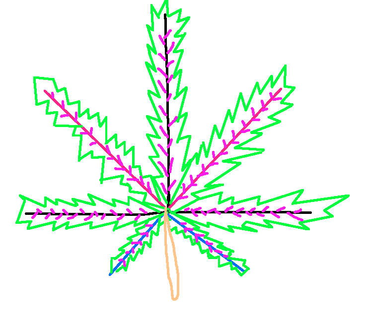 Want to Learn How to Draw a Weed Plant? | Piece of Mind Cannabis