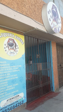 AQPET SHOP - Mariano Melgar