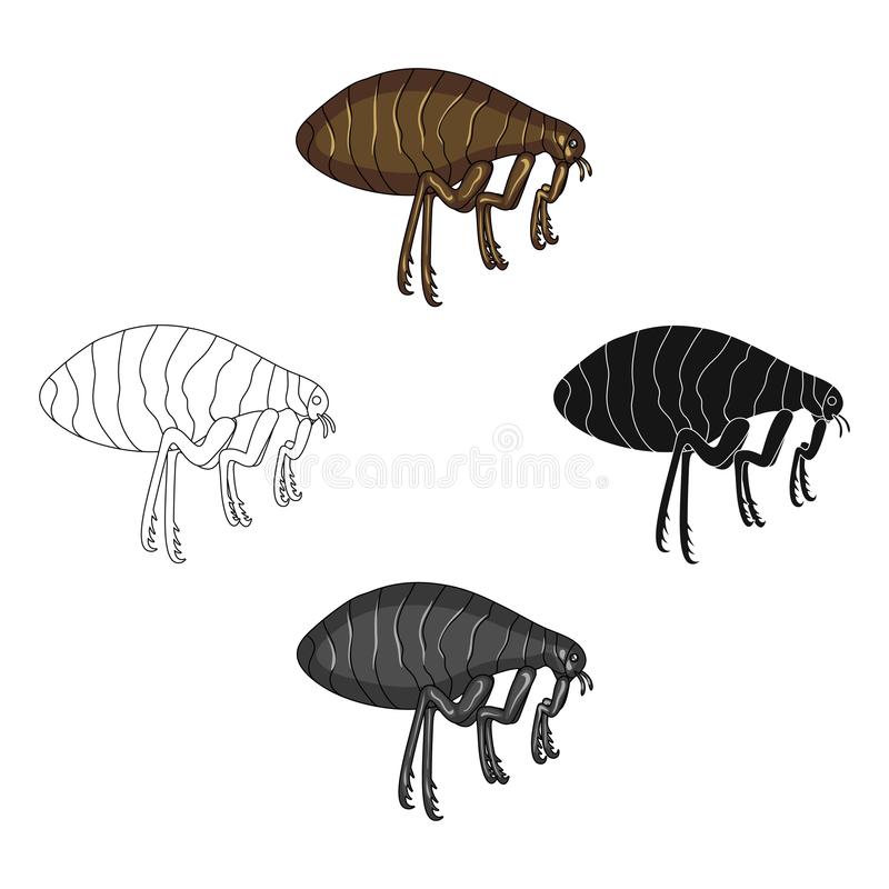 Image result for flea cartoon black,brown,reddish