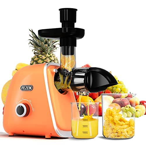 Fezen Cold Press Juicer