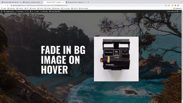 Elementor Fade In Background Image on Hover GIF