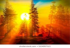 Sunrise Images, Stock Photos & Vectors | Shutterstock
