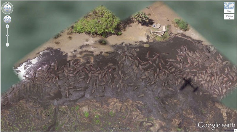 谷歌地球河馬池