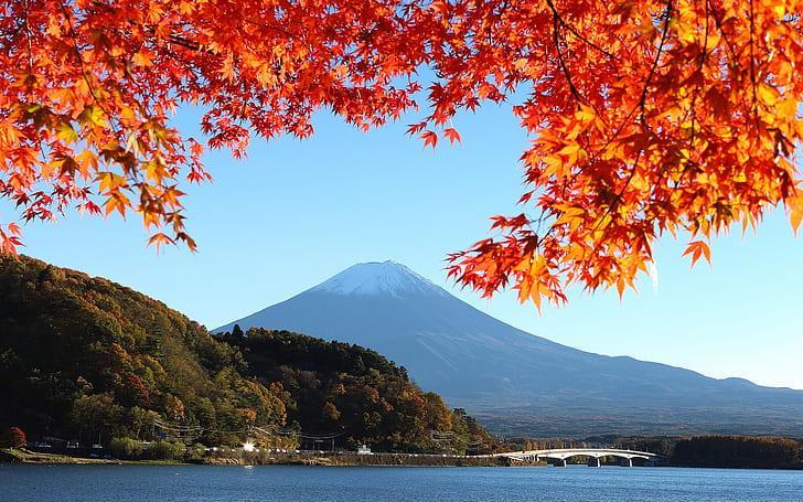 HD wallpaper: Japan, mount Fuji, autumn, red leaves | Wallpaper Flare