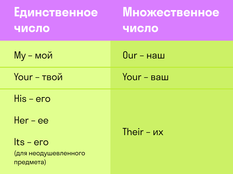 Притяжательные местоимения изменяются по числам. Притяжательные местоимения в английском языке множественное число. Местоимения множественного числа в английском. Множественное число местоимений в английском языке. Притяжательные местоимения в АН.