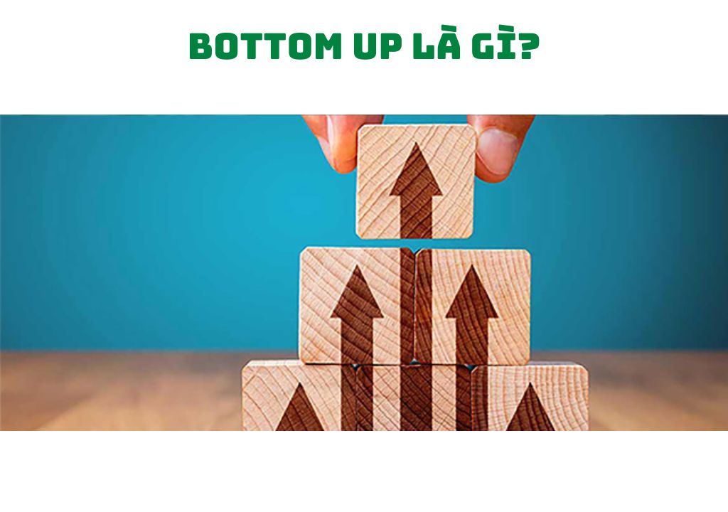 Bottom up là gì?