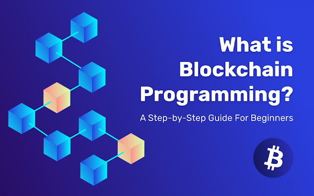 What is the programming language for blockchain?