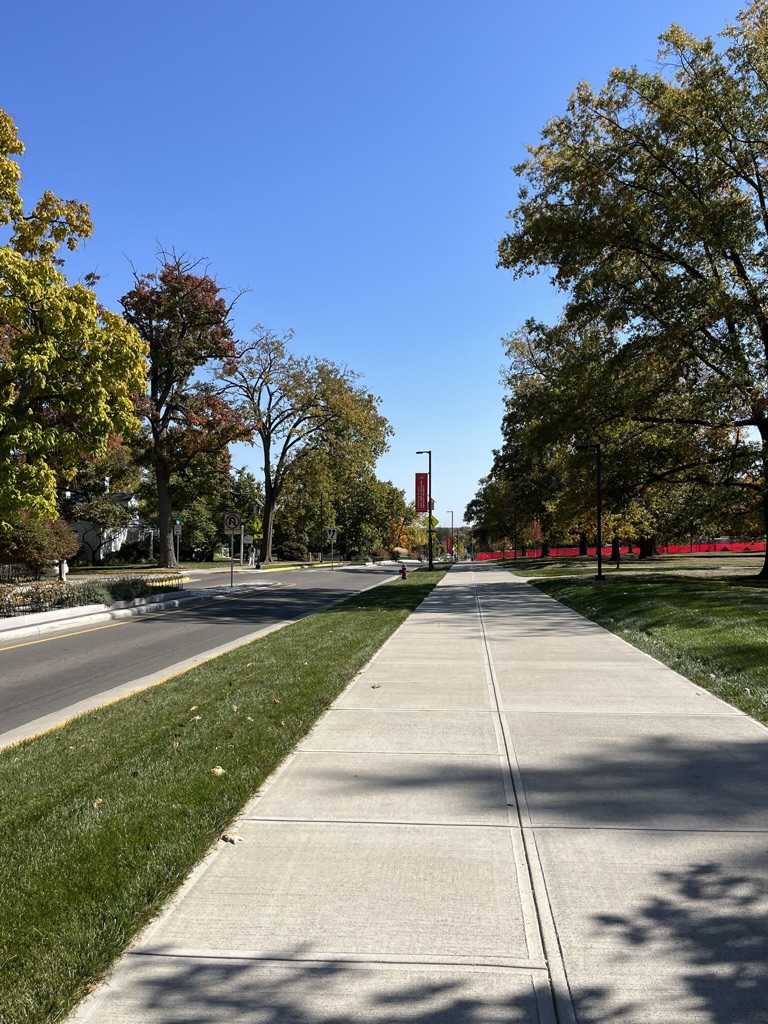 An empty sidewalk lined with trees from the walk to campus.