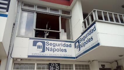 Seguridad Nápoles Ltda.