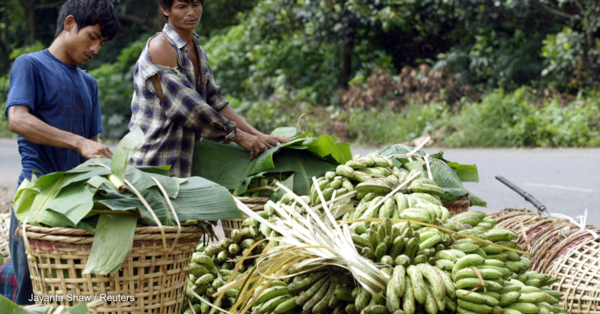 Keeping Indigenous food practices alive