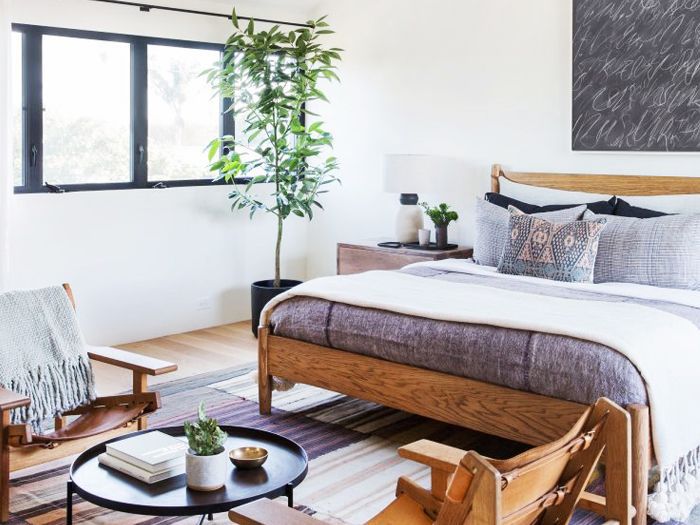 Tanaman hijau di kamar