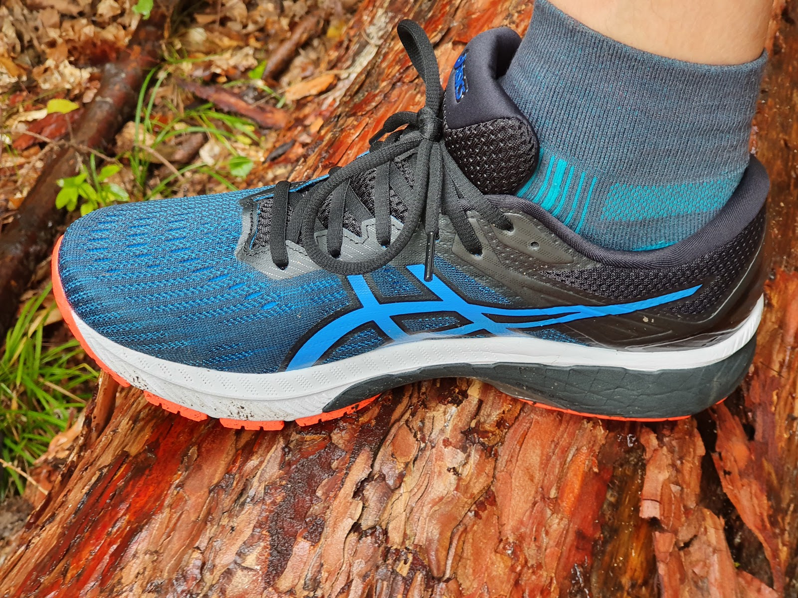 Road Trail Run: Testbericht: ASICS GT-2000 9 - Weniger ist manchmal mehr!