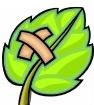 LEAF