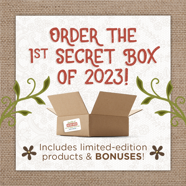 Can't wait to see what's in your Secret Box? Here's a hint: 

Two paper packs (6/pk), laser-cut borders, stickers, punch and a few bonuses.