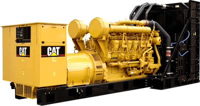 cat generator