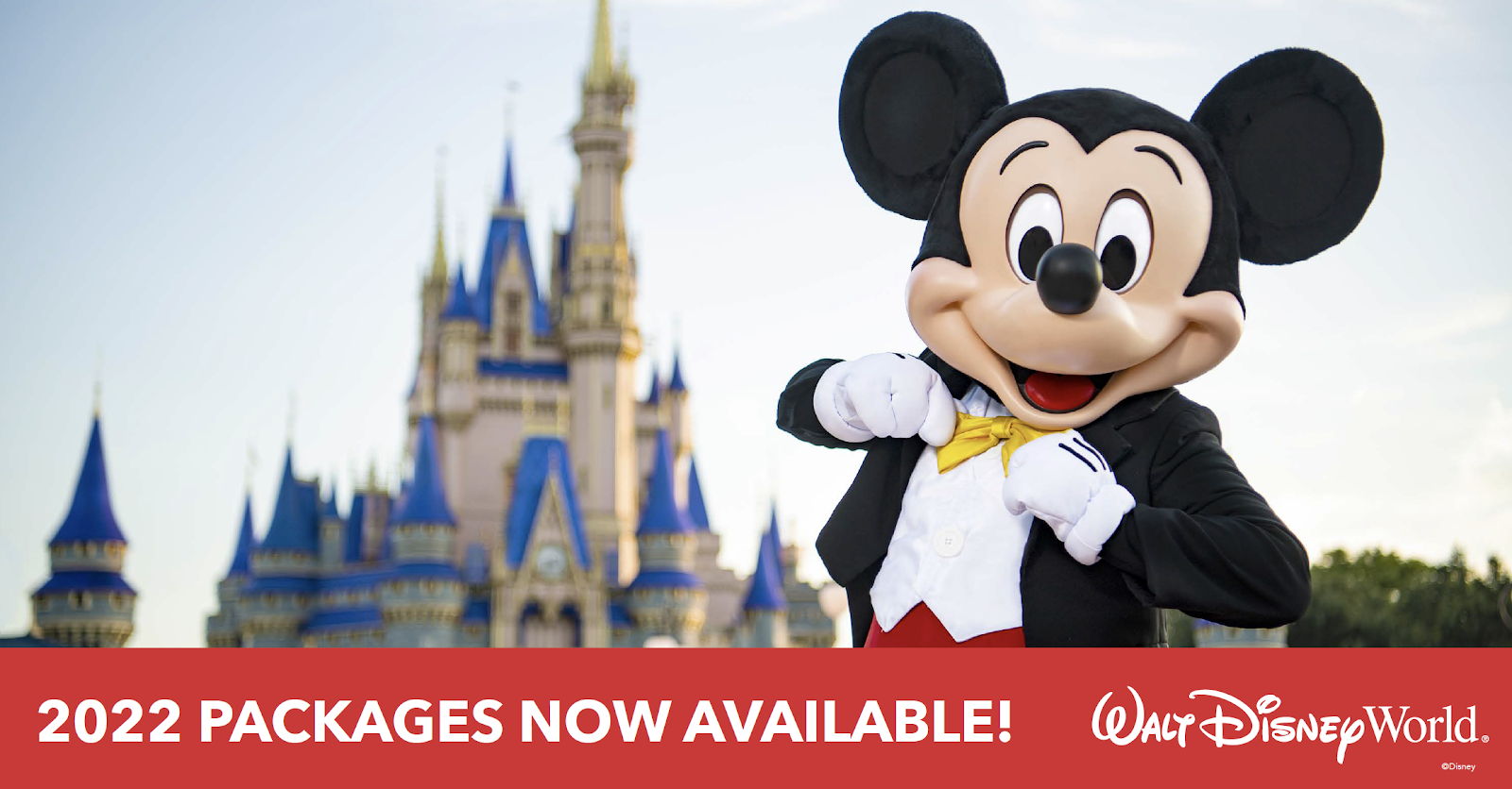 BREAKING NEWS! Early 2022 Walt Disney World Packages Now Available!