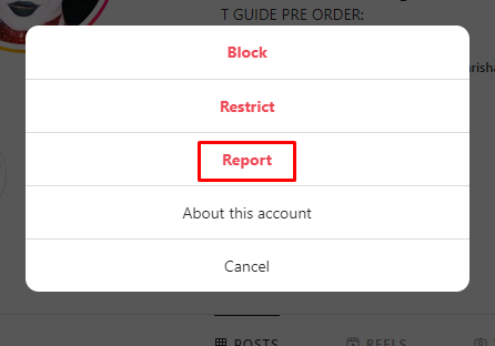 Report button on Instagram with red box around it
