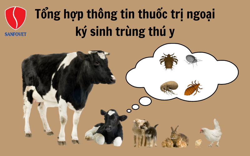 Tổng hợp thông tin thuốc trị ngoại ký sinh trùng thú y