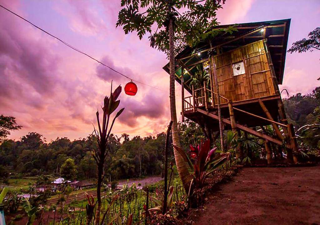 The Best Treehouse Rentals In Bali – Exploring Escape