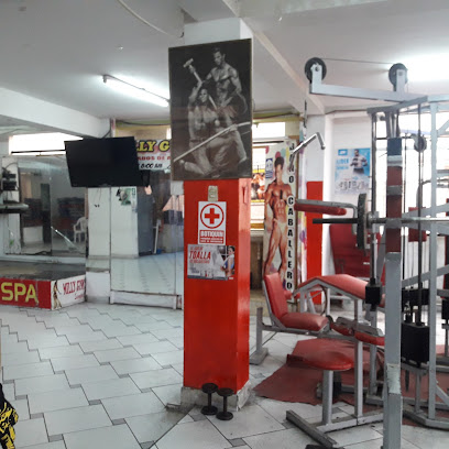 Milly Gym Spa - Av. Eduardo de Habich 293-299, Lima 15102, Peru