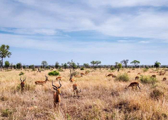 Tour du lịch Nam Phi - Núi tuyết trắng xóa kiệt tác của Nam Phi