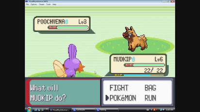 Pokemon Emerald Action Replay Shiny Code