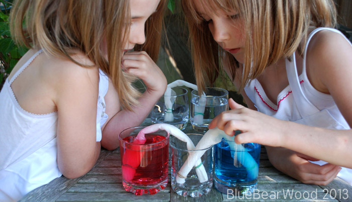 5 Easy Backyard STEM Activities Your Kids Will Love