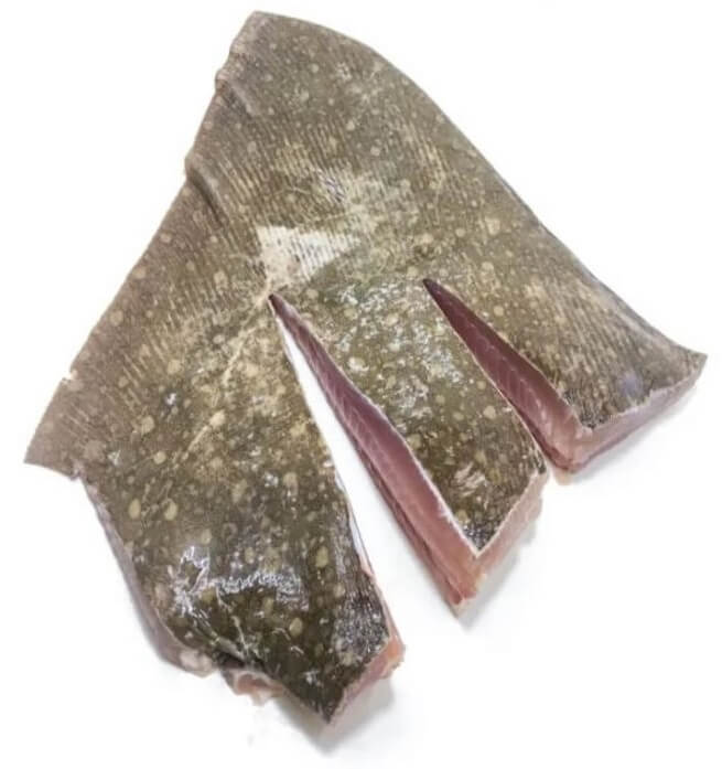 Jenis Ikan