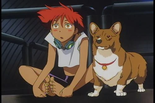 Cowboy Bebop Review Anime | Pinnedupink.com