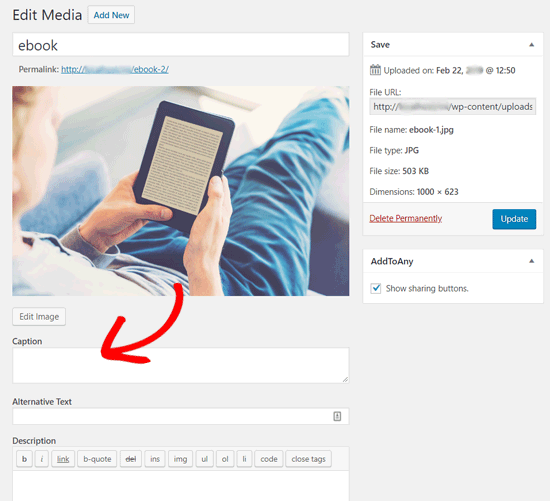 Tela de edição de postagem de imagem no WordPress
