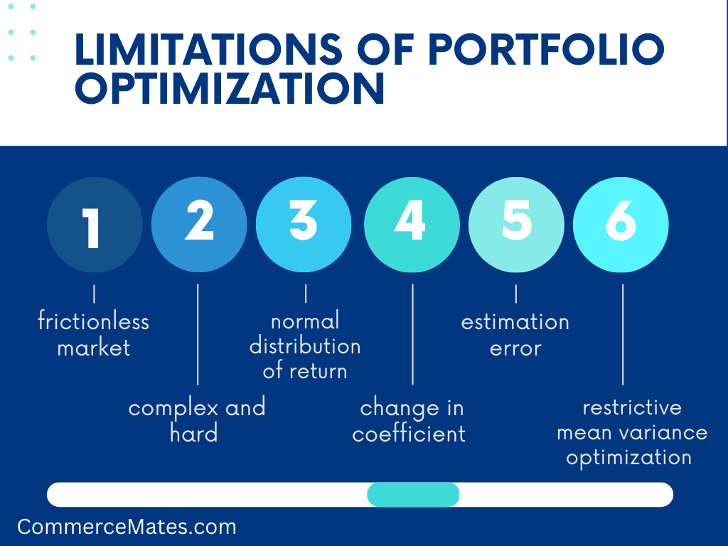 Limitations of Portfolio Optimization