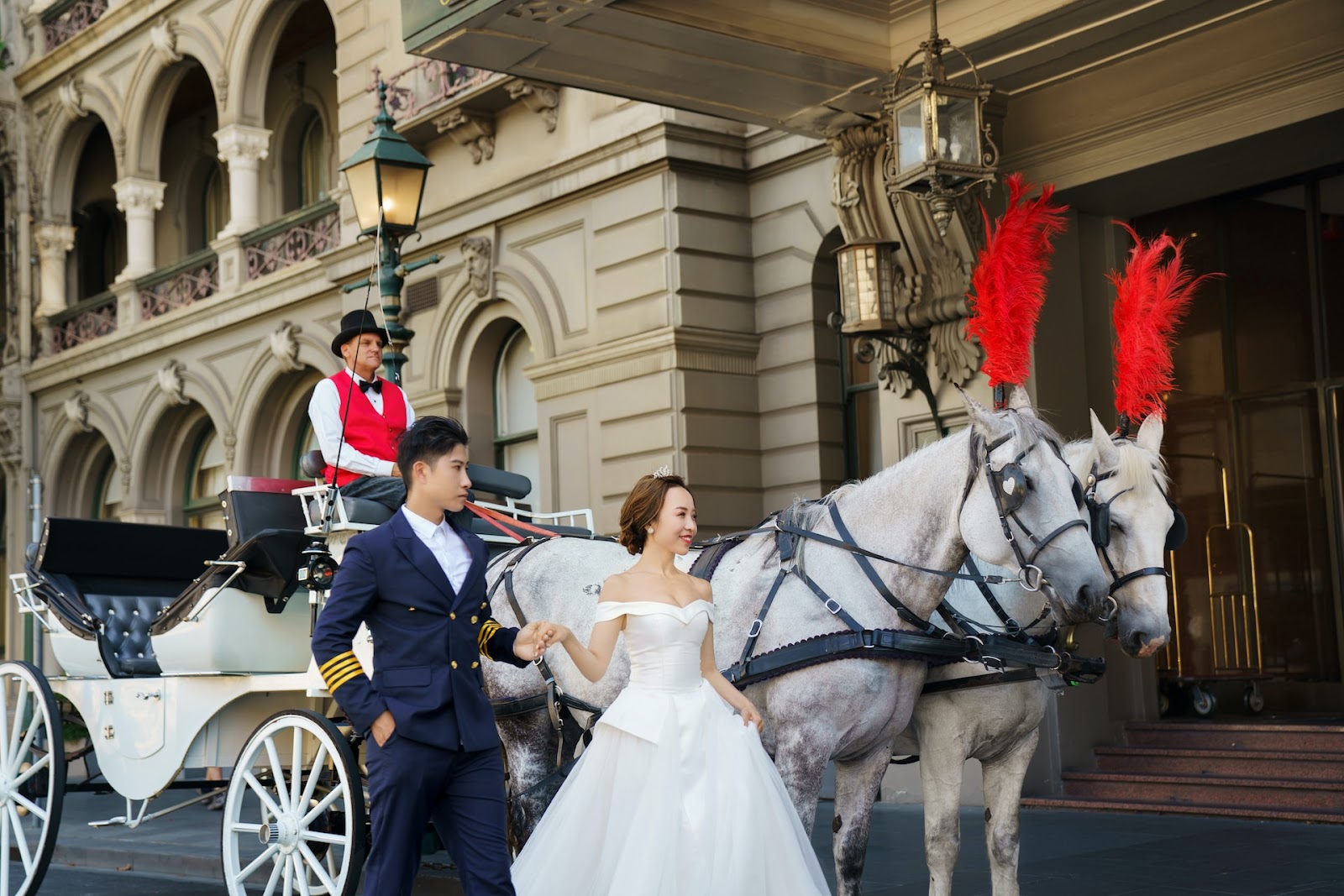 Wedding Transport Ideas - Horse and Carriage - Minstrel Court
