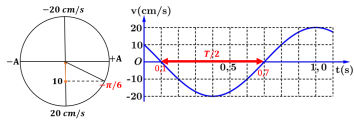 Câu 20 : Một vật dao động điều hòa. Hình bên là đồ thị biểu diễn sự phụ thuộc của vận tốc v của vật theo thời gian  t. Phương trình dao động của vật là.