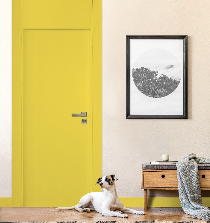 hall de entrada com porta amarela, pare rosa claro com quadro branco com moldura preta, piso de madeira, banquinho de madeira com gaveta e assento cinza, cachorro deitado na porta.