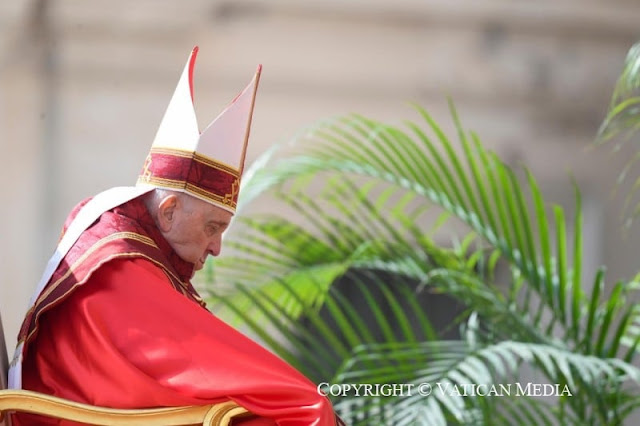 Bài giảng Lễ Lá của ĐTC Phanxicô: "Chúa Giêsu yêu cầu chúng ta hãy có đôi mắt và trái tim cho người bị bỏ rơi"