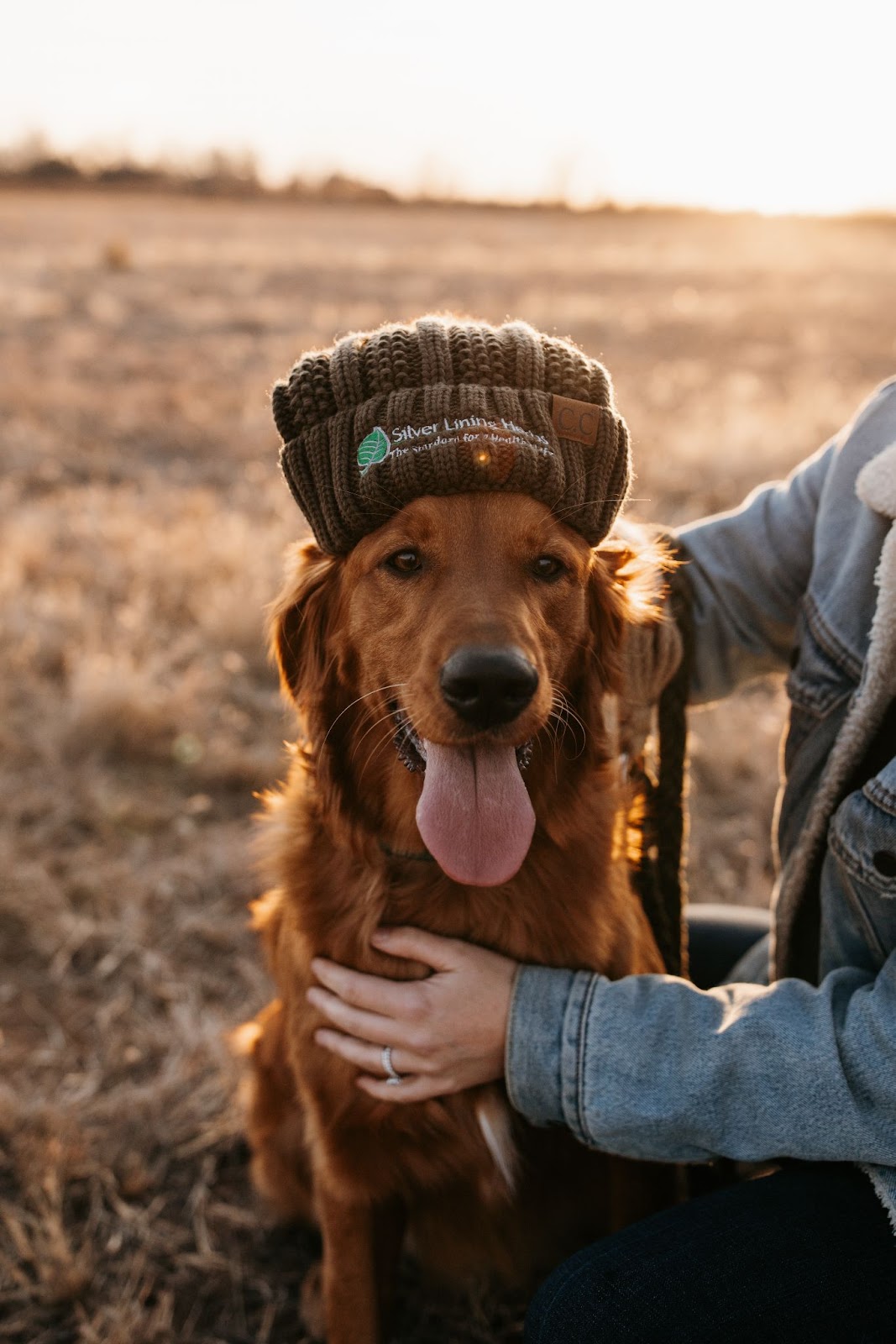 Dog wearing Silver Lining Herb's hat with human hugging them.