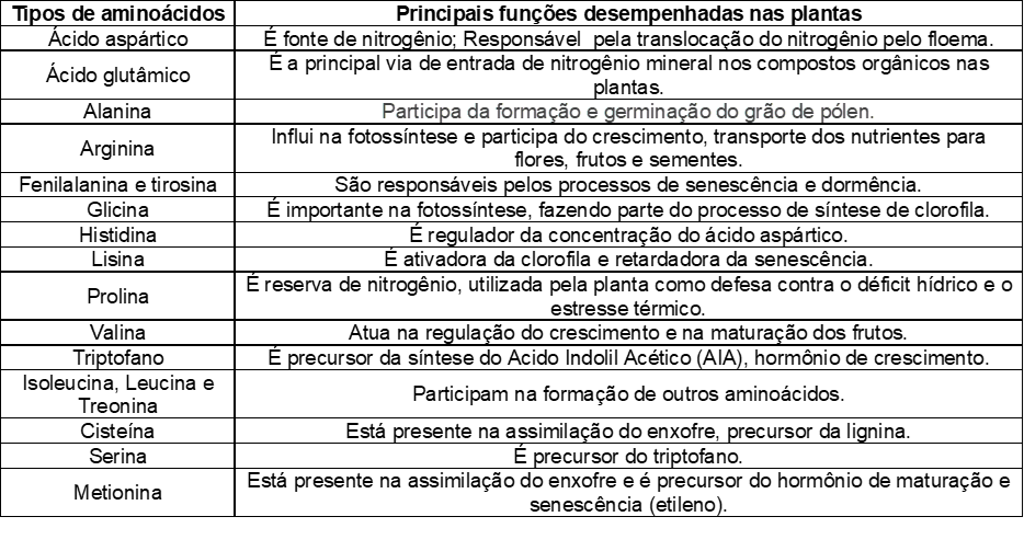 Principais tipos de aminoácidos para plantas

