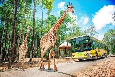 Vinpearl Safari chào đón tê giác thứ 3 chào đời