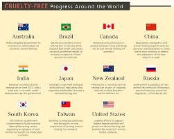 Image result for What countries have different rules about animal abuse