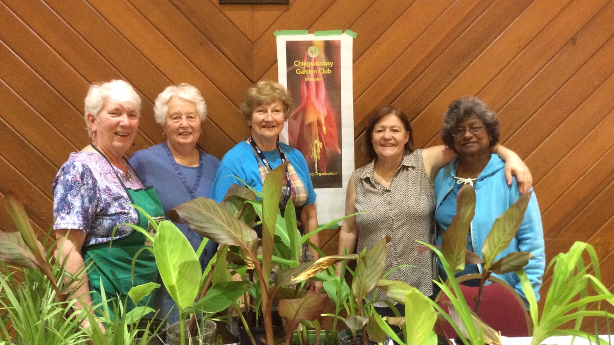 2016PlantSale.jpg