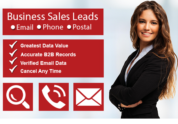 Where to buy leads? Here are MegaLeads main selling points. See the review.